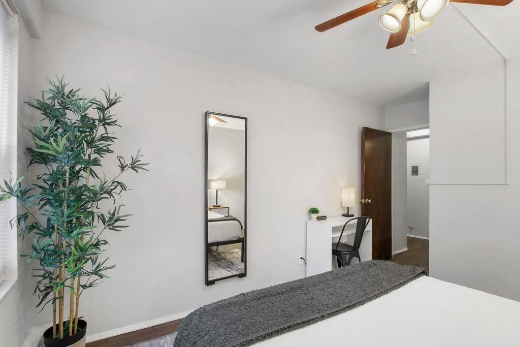 Apartment 1br Bright And Airy Apt In Hyde Park - Hyde Park 109 And 209 Rep